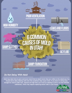an infographic showing common causes of mold