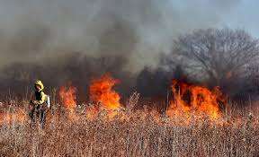 5 Wildfire Season Safety Tips