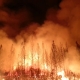 Wildfire Season safety tips in case of an evacuation order