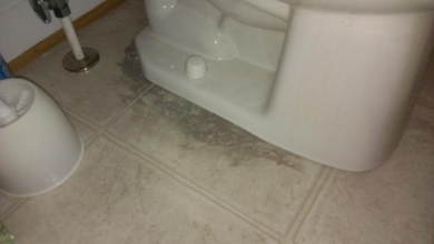 toilet wax seal leak