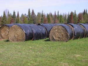 covered hay bale