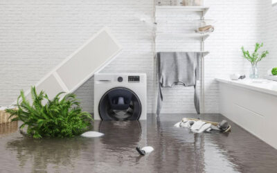 Water Damage Restoration in Logan, Utah